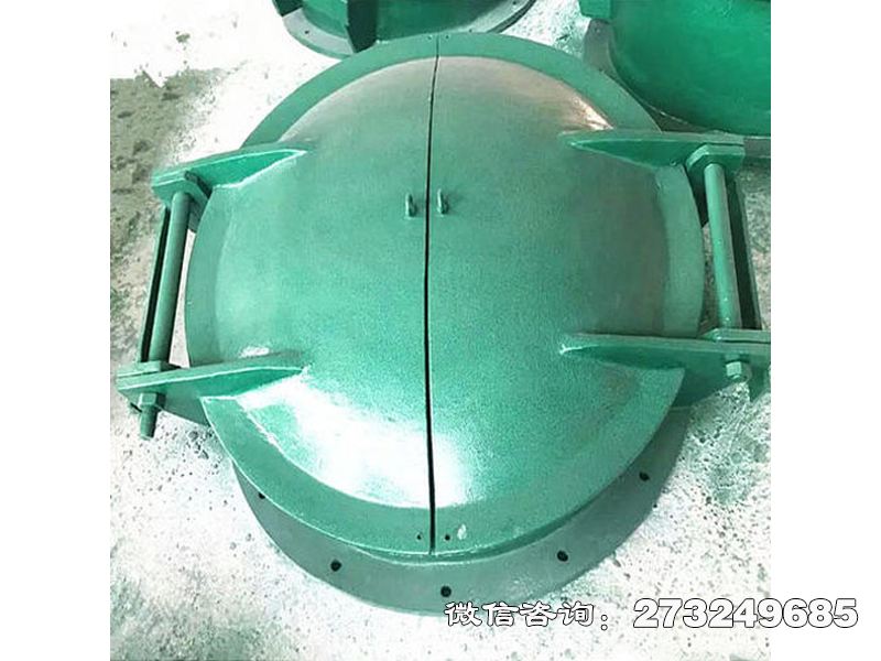 乌达双开式玻璃钢拍门