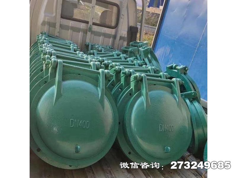 洛隆县排污口玻璃钢拍门