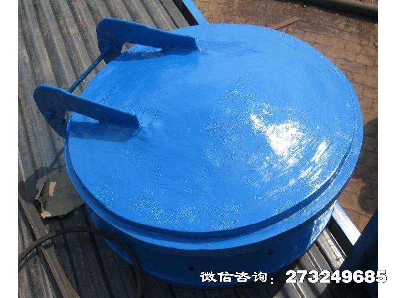 复合材料防倒灌拍门