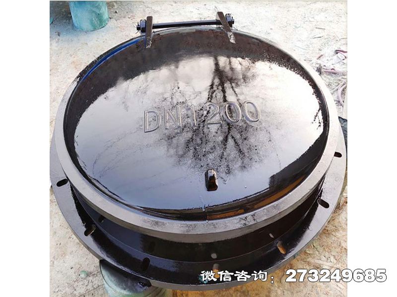 乌达防倒灌玻璃钢拍门