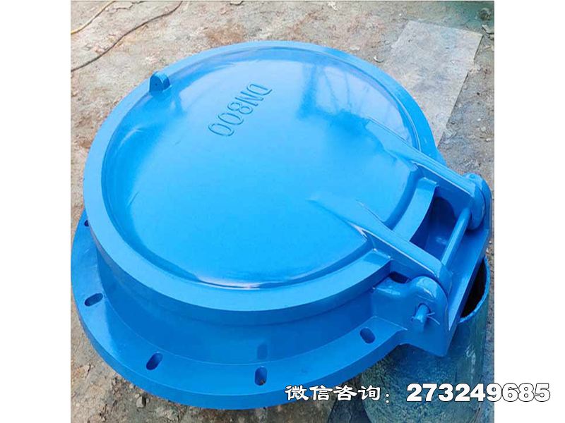 乌达单向水流控制拍门