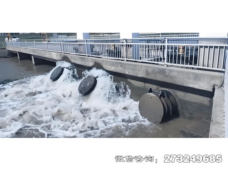 舞钢内河潮门拍门