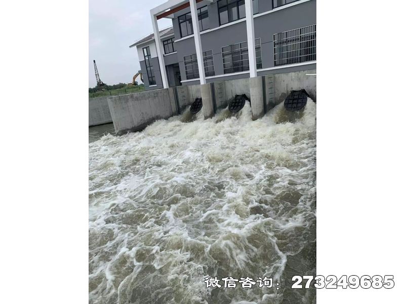舞钢防潮堤潮门拍门