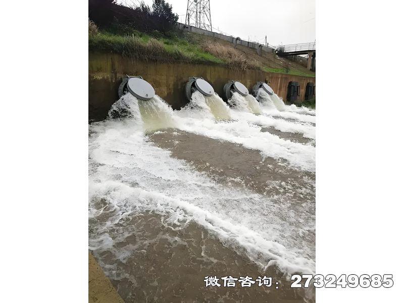 舞钢排水管网末端潮门拍门