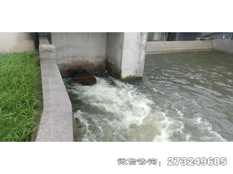 海塘防潮闸潮门拍门安装于沿海海塘、防潮堤排水孔，采用铸铁或316L不锈钢材质，适配沿海防潮工程。防潮工程处、海洋工程公司常用，通过重力自动闭合抵御风暴潮与台风巨浪，保护堤内安全。产品可抵御强风冲击，适配极端天气频发地区，支持防浪结构优化。价格电议，支持抗风荷载校核及防腐蚀方案设计。