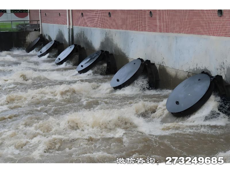 灌溉渠首水闸潮门拍门适用于农田灌溉干渠、生态补水工程，采用FRP或铸铁材质，安装于渠首进水口与节制闸。灌溉公司、农业合作社常用，通过自动启闭控制灌溉水流，减少水头损失。产品轻便易安装，适配DN200-DN1500中小管径，支持手动调节开度与分水比例设计。价格咨询厂家，支持防渗漏密封定制及智能化升级。
