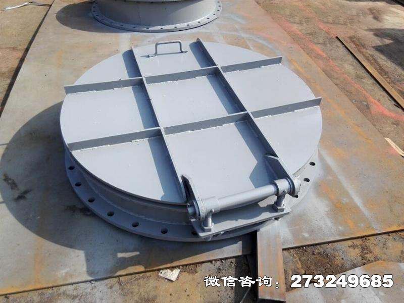 洛隆县市政防洪钢制拍门