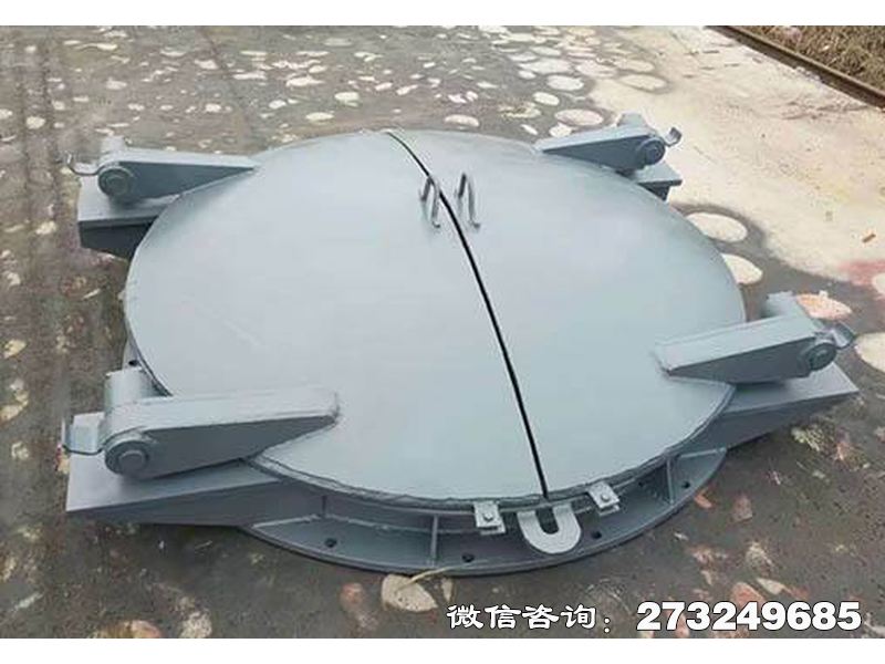 洛隆县沿海防潮钢制拍门